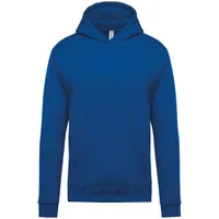 Light Royal Blue