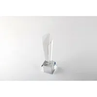 Trofeu din cristal în cutie de personalizat, vedere detaliu