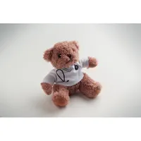 Ursuleț de pluș doctor personalizat, vedere detaliu