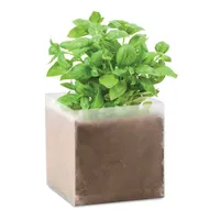 Compost cu semințe "BASIL" personalizat