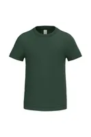 Ideal Forest Green