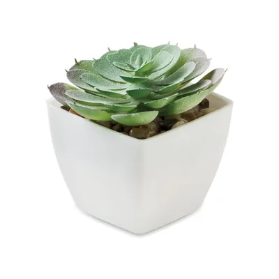 Mini plantă artificială personalizat