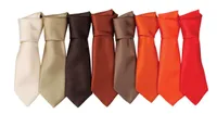 Premier Colours Collection Satin Tie personalizat, pe model