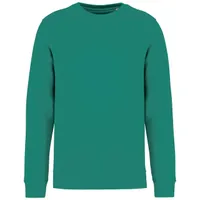 Bluză unisex Native Spirit Eco-friendly Round Neck personalizată, verde