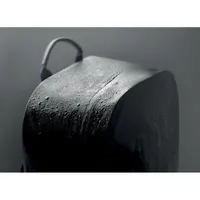 Vedere laterală