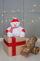 Mumbles Zippie Snowman personalizat, pe model