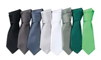 Premier Colours Collection Satin Tie personalizat, pe model