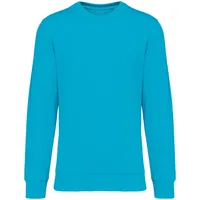 Bluză unisex Native Spirit Eco-friendly Round Neck personalizată, albastru
