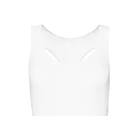 Arctic White