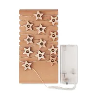 Șnur cu 20 steluțe luminoase   -40 personalizat