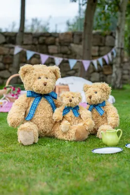 Jucărie de pluș Mumbles Bracken Bear personalizat