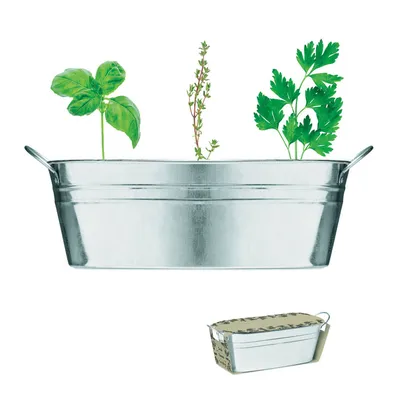 Ghiveci din zinc cu semințe personalizat