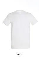 Absolute White