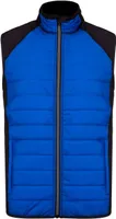 Dark Royal Blue/Black
