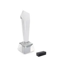 Trofeu din cristal în cutie de personalizat
