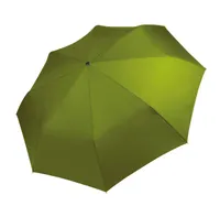 Burnt Lime