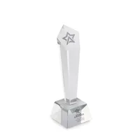 Trofeu din cristal în cutie de personalizat, vedere zona de personalizare