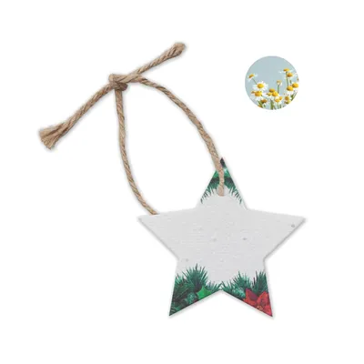 Ornament de Crăciun cu semințe personalizat