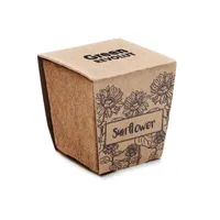Kit pentru cultivarea florii-so personalizat, vedere zona de personalizare