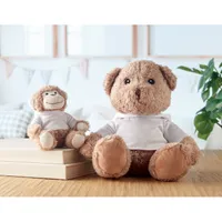 Ursuleț de pluș Teddy personalizat, în context