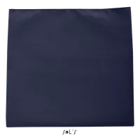 French Navy