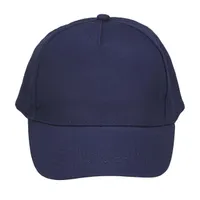 French Navy