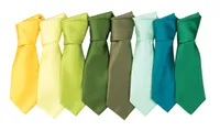 Premier Colours Collection Satin Tie personalizat, pe model