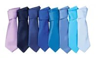 Premier Colours Collection Satin Tie personalizat, pe model