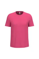 Ideal Fuchsia