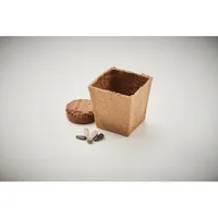 Kit pentru cultivarea florii-so personalizat, vedere detaliu