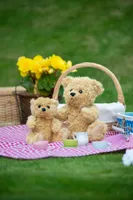 Jucărie de pluș Mumbles Classic Jointed Teddy Bear personalizat, pe model