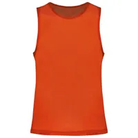 Spicy Orange