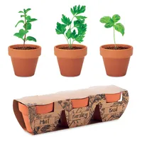 Set vase teracotă - 3 ierburi personalizat