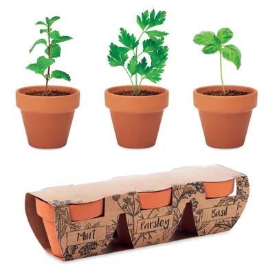 Set vase teracotă - 3 ierburi personalizat