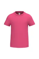 Ideal Fuchsia