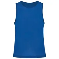 Sporty Royal Blue
