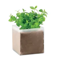 Compost cu semințe "MINT" personalizat