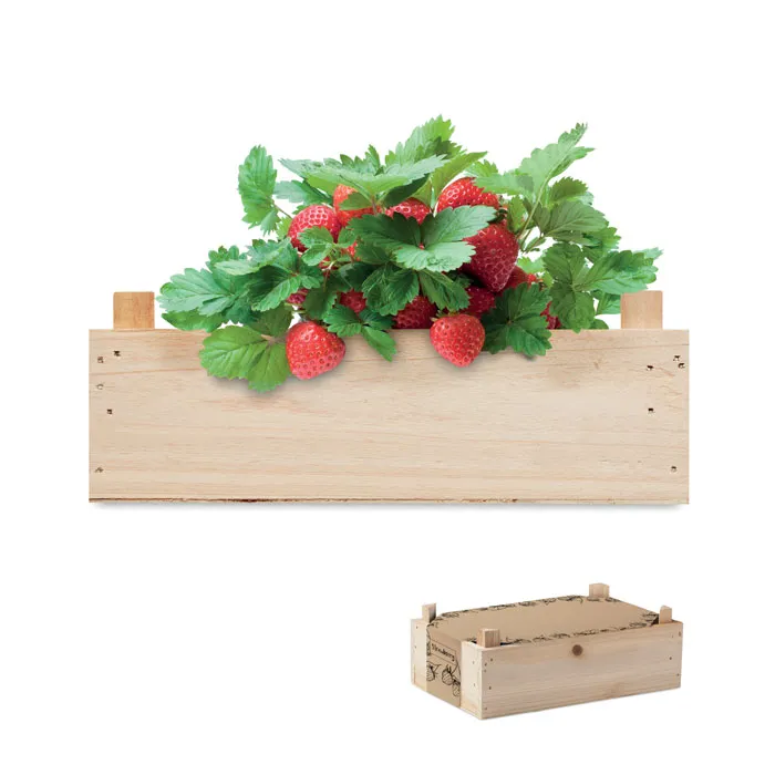 Kit căpșuni în cutie de lemn personalizat