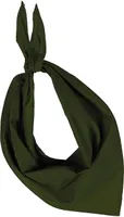 Accesoriu textil K-UP Fiesta Bandana personalizat, verde