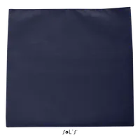 French Navy
