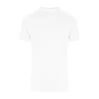 Arctic White