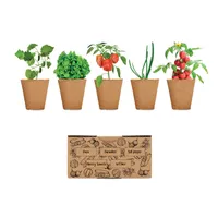 Kit creștere salată personalizat