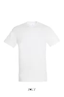 Absolute White