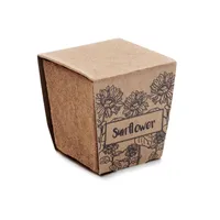 Kit pentru cultivarea florii-so personalizat