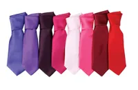 Premier Colours Collection Satin Tie personalizat, pe model