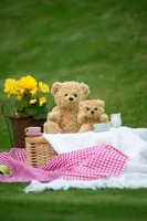 Jucărie de pluș Mumbles Classic Jointed Teddy Bear personalizat, pe model