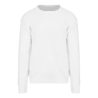 Arctic White
